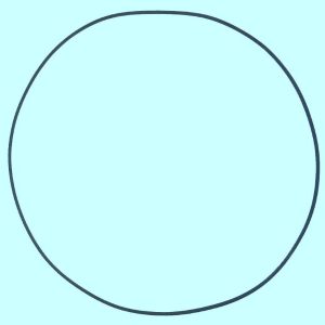 1953-1963 Dynaflow Torus Cover O-ring 12066E